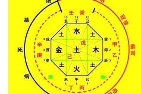 八字十神查詢|生辰八字算命、五行喜用神查询（免费测算）